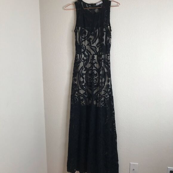 Dainty Hooligan Dresses & Skirts - ‎Sheer lace overlay gown